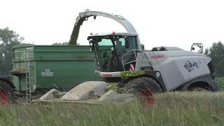 GPS Häckseln  wird mit Claas Jaguar 970, CLAAS Direct Disc 610 gehäckselt LU Hannes Hauptmann