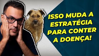 VARÍOLA DO MACACO INFECTOU CACHORRO!