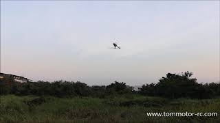 KDS innova 450QS 3D RC helicopter RTF by Tommotor-rc shop