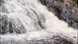 Watch close! Brook trout tried to jump up waterfall #shorts #flyfishing #brooktrout