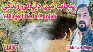 Village Life In Punjab Pakistan  | Tahir Waris Vlogs |