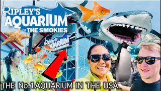 VISITING Ripley's Aquarium of the Smokies Tennessee Gatlinburg #filamcouple #tour #No1AquariumInUSA