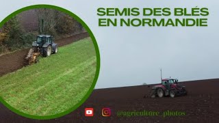 Semis des blés en Normandie 🌦️🌾🍁