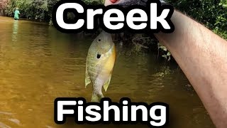 Mid-August Kayak Creek Fishing Adventure