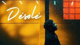 VJ - Désolé (Lyrics - Parole)