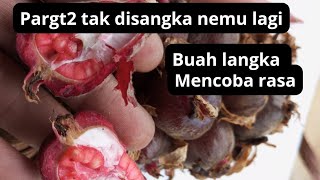 tak disangka nemu buah langka lagi