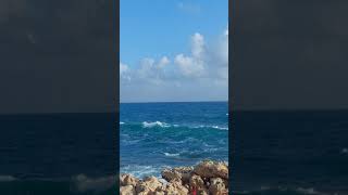 Seawaves #shorts #horses #wavesounds #sea #beach #mediterranean #cyprus