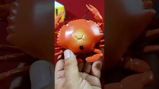 RC Crab Toy Adventure: Watch It Move and Play #ytshorts #ytshortsindia #rctoys