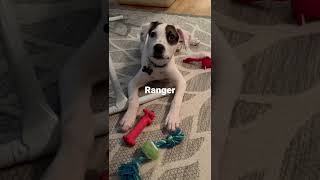 Ranger