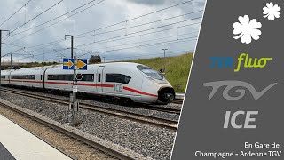 Petite Session de Spot en gare de Champagne Ardenne TGV