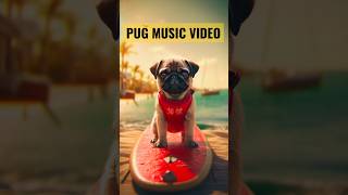 PUG MUSICVIDEO #dog  #puppy #shorts #viral #trending #short #youtubeshorts #cute #music #musicvideo