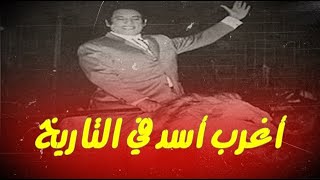 قصّة أغرب أسد في التاريخ... الأسد سلطان💔