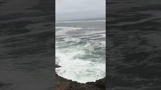 Wave after wave from the #OregonCoast 🧜🏾‍♂️🧜🏽‍♀️ #travelingfamily #roadtrip #shorts