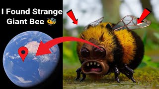 😱I Found very Strange Bee 🐝 In Real life!?🤯On Google Earth Universal s2z🌍#viralvideo