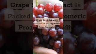 #shorts #grape  #Seed #Extract The Unsung Hero in #antiaging