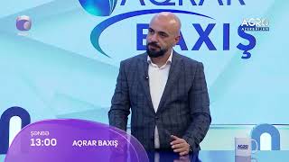 “Aqrar baxış” verilişi şənbə günü saat 13:00-da “Xəzər Tv”də. (02.03.2024)