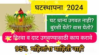 #घटस्थापना2024 घट चांगला उगवण्यासाठी खास टिप्स दुर्मीळ माहिती |Navratri 2024| ghatstahapana 2024