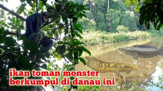 paser ikan toman di spot istimewa