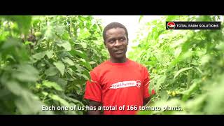 Total Farm Solutions for World Vision communities - Sustainable Greenhouse Farming in Manicaland