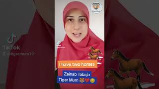 #tigermum#zainabtabajaحصان باللغة الإنجليزية ،جمل قصيرة لتعلّم الانجليزية للمبتدئين