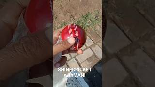 Grade A Cricket Balls #cricketballs #clubcricket #cricket #usacricket #ukcricket #babarazam