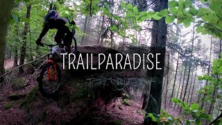 ENDLOSE TRAILS // Gopro Hero 11 / Propain Tyee