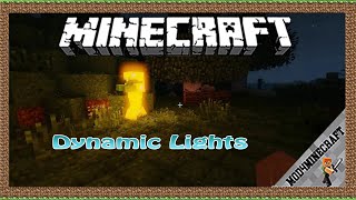 Dynamic Lights Mod 1.18/1.16.5/1.12.2 & Tutorial Downloading And Installing For Minecraft