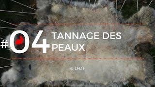 TANNAGE DES PEAUX │LFDT #04