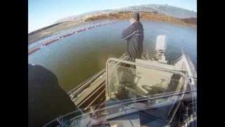 Lake Oroville Coho Fishing 2013