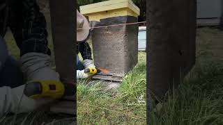 Adding an Entrance Reducer to the Bee Hives