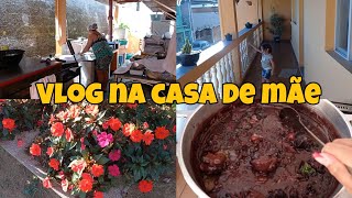 VLOG CASA DA MINHA MÃE - ALMOÇO DELICIOSO - ROTINA