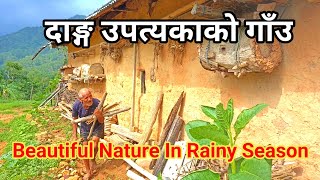 Nepali Tarai Village View in Rainy Season || Beautiful Natural View In Rainy Season || Dang Nepal||