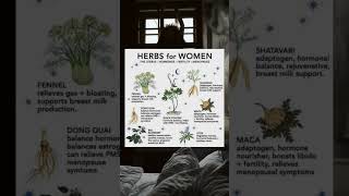 Herbs For Women #health #healthy #healthyfacts #herbs #women #womenhealth #shorts #shortsvideo