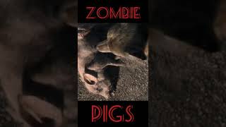 Zombie Pigs #Shorts II Teacher Ryan Gallardo