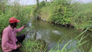 Fisher Man 🎣 Catching in Tilapia Fishes small single Hook Fishing