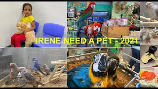 Irene want to buy a pet | Irene Baby | Petland | Petco | PetSmart | Fancy Feathers | Animal Atlanta