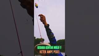 GEGARA GENTAK MULU ‼️ KETEK AMPE PEGEL