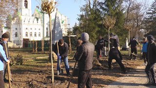 Сакури, жасмін, черемха і гортензія. У міському парку висадили нові дерева і кущі