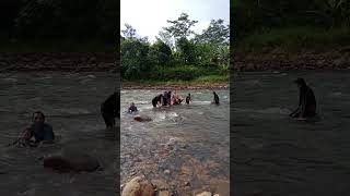 Bermain di sungai bersama keluarga di kampung Pekalongan