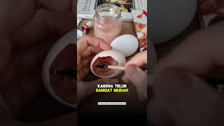 Siapa sangka cangkang telur bisa jadi media seni yang menakjubkan 🥚🎨 | Süreyya Noyan