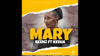 Skenz Ft. Kesha - MARY (Official Audio Visualizer)