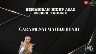 MENYEMAI BIJI BENIH (BUKU TEKS)