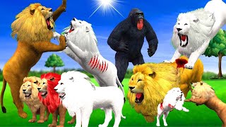 सफेद शेर का जंगल में राज / Secret of the White Lion in the Jungle | Safed Sher Ki Kahani  New Story