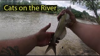 Hitting the River for Catfish,