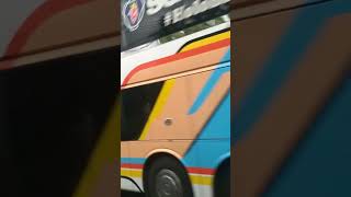 Bis tingkat ROSALIA INDAH super top #videoshort #fypyoutube #bismaniacommunity