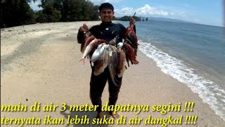 Memanah ikan di air dangkal|Spearfishing Aceh Blang Ulam