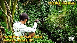 Micro fishing | Mancing di parit kecil pake umpan jitu | AUTO GACOR #mancingwader #mancingnilem