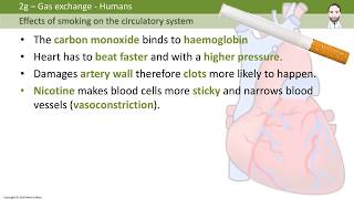 Effects of (GCSE Biology)