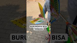 GODBLESSYOU MAINAN BURUNG TERBANG #birds #viral #toys