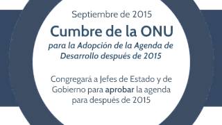 Agenda después de 2015: orígenes y proceso